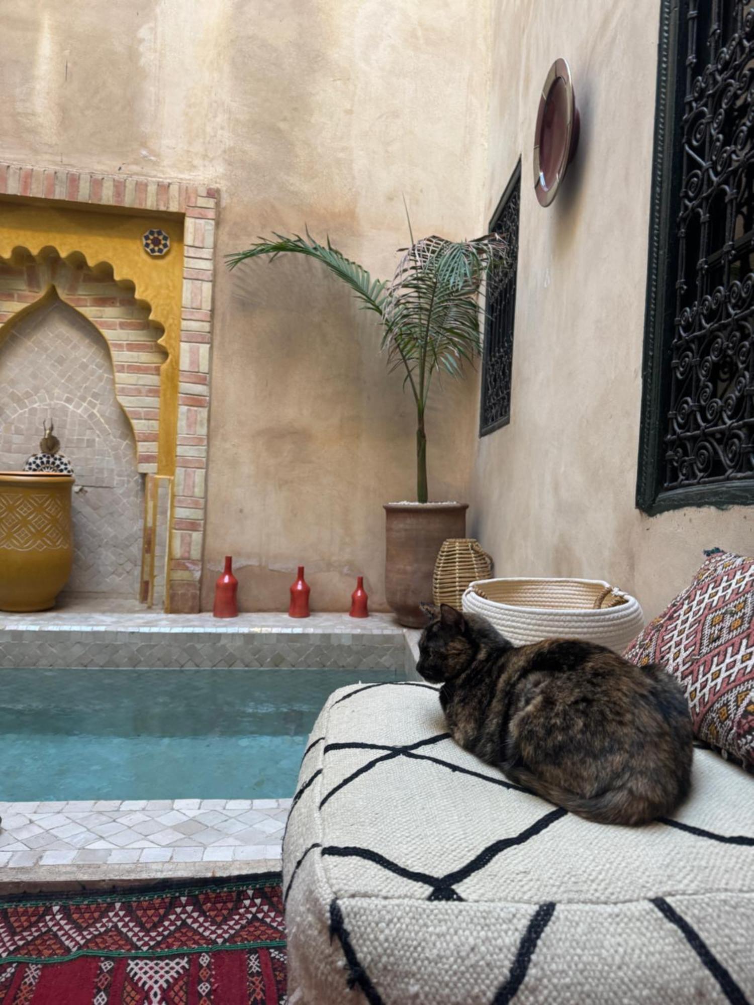 Riad Paquerette Marrakesh Exteriör bild